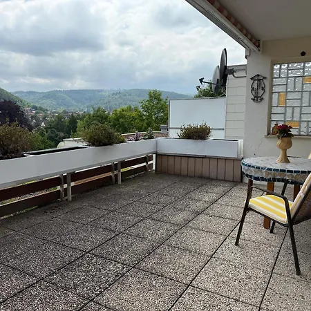 Terrassenappartment Im Harz Διαμέρισμα