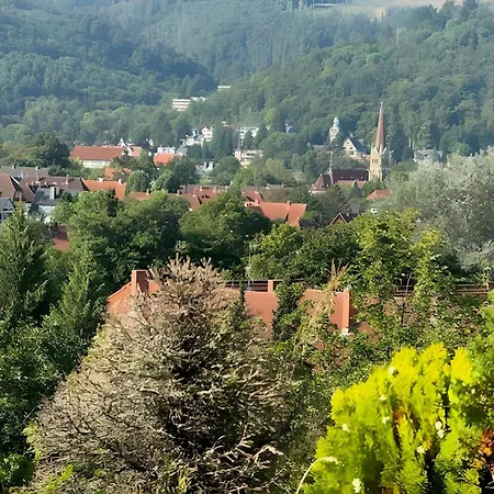 Terrassenappartment Im Harz Διαμέρισμα